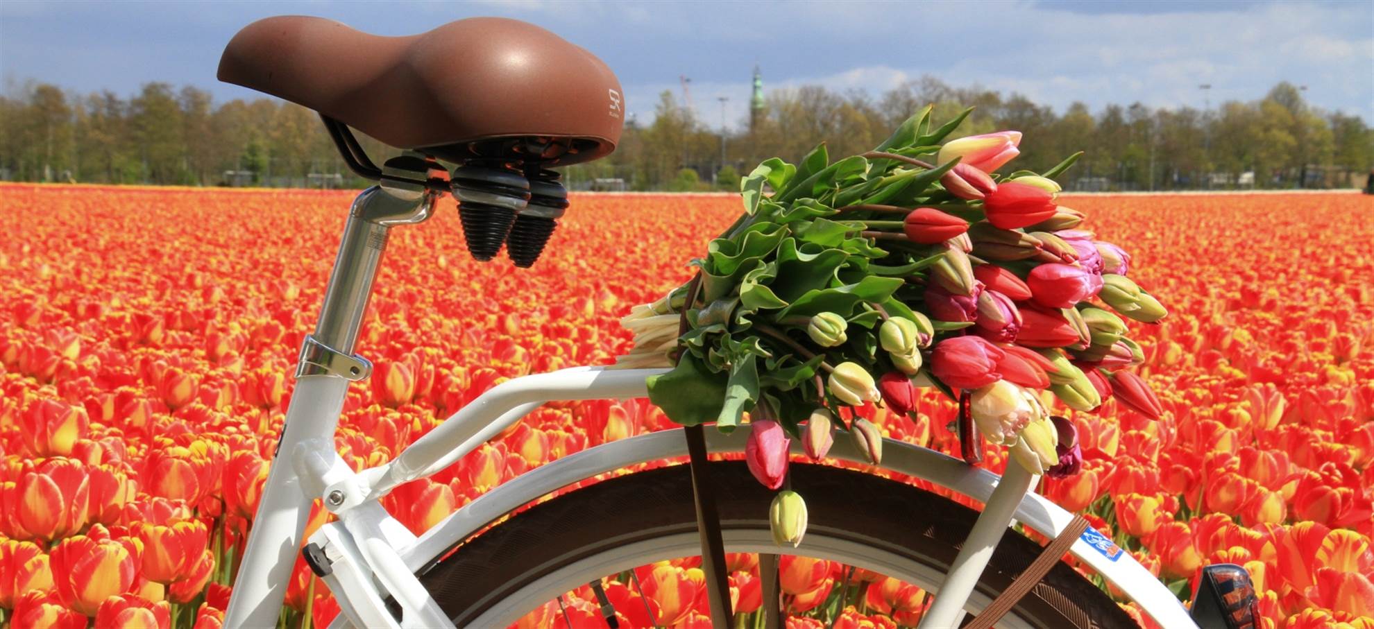 keukenhof by bike