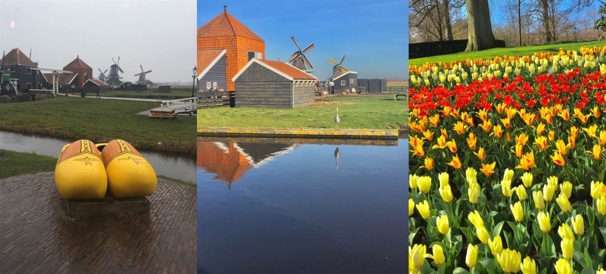 /amsterdam/classificaties/keukenhof/keukenhof-e-zaanse-schans-com-guia-brasileiro/foto-zaanse-schans-e-keukenhof-header-1539847648.jpg Zaanse Schans e Keukenhof com guia Brasileiro
