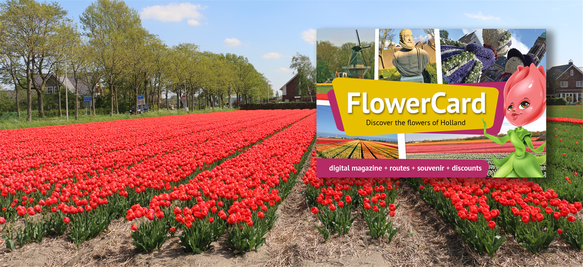 /amsterdam/classificaties/keukenhof/keukenhof-flower-tour/flowercard_header-1548070041.png FlowerCard