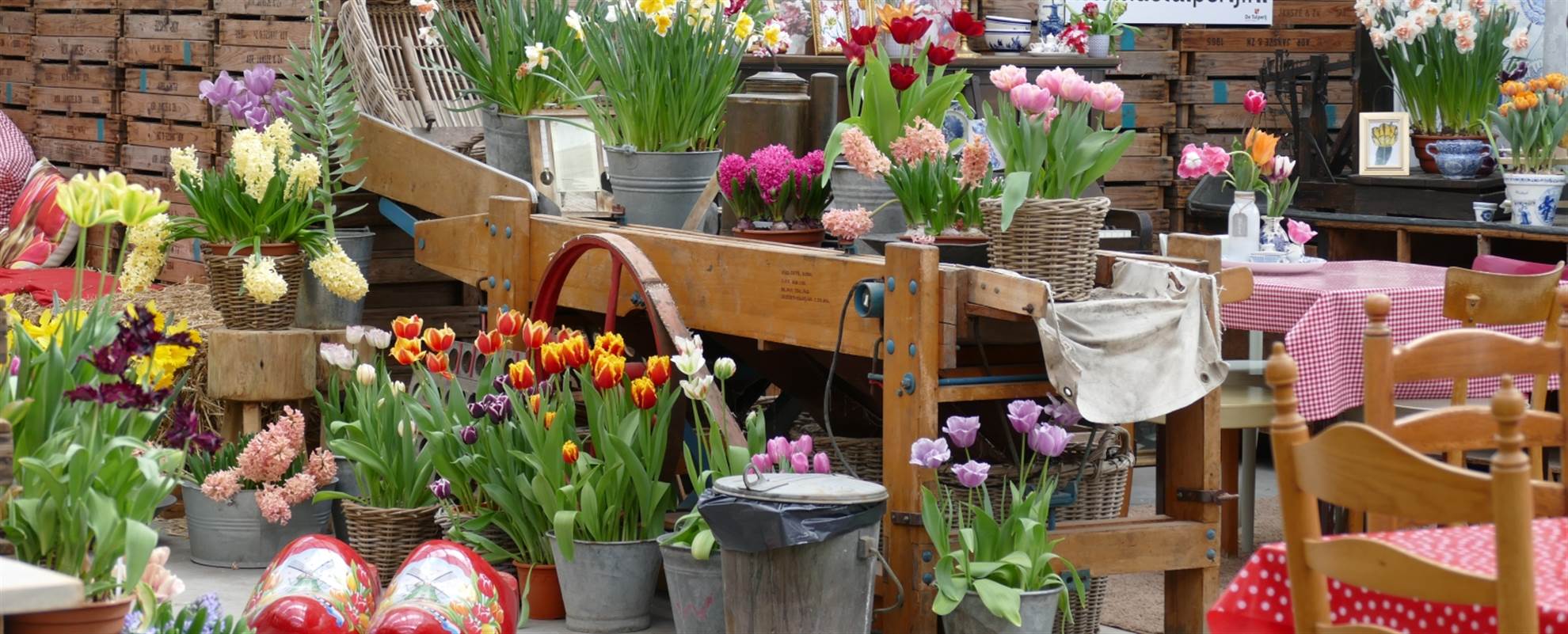 /amsterdam/classificaties/keukenhof/keukenhof-garden-flowerfields-bulbfarm/tulips-header-1572953404.jpg Keukenhof Garden & Flowerfields incl visit to a bulbfarm