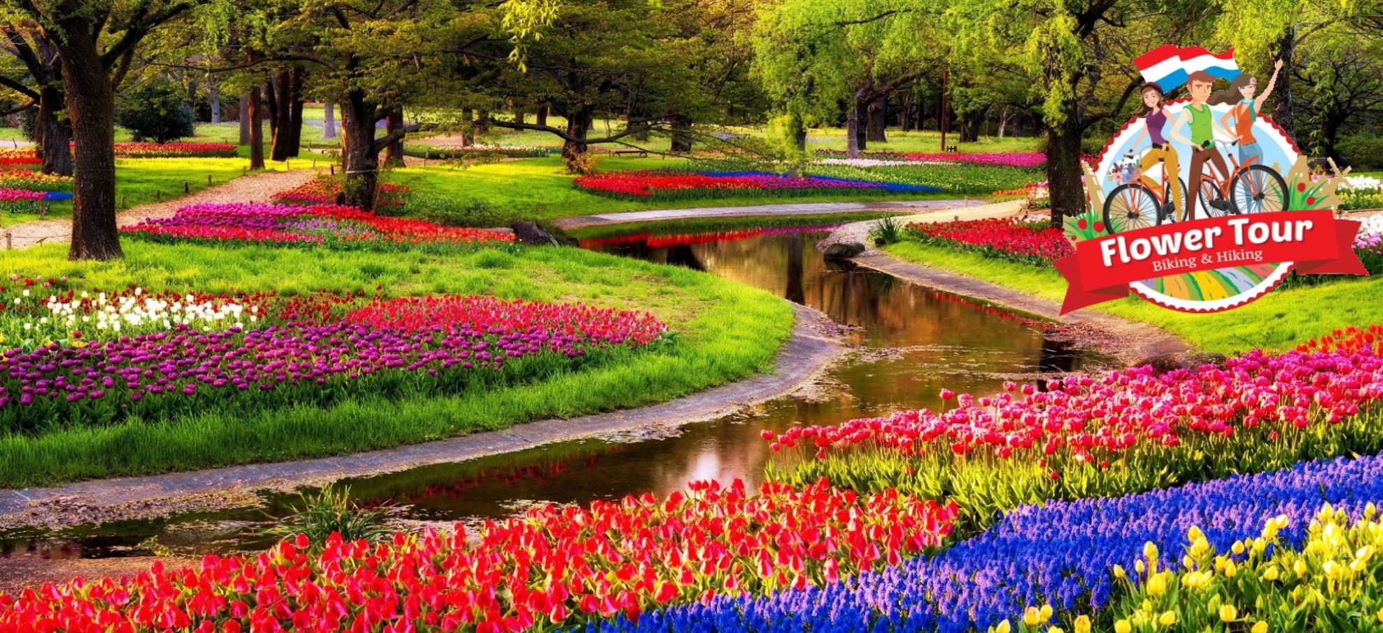 /amsterdam/classificaties/keukenhof/the-flower-tour-along-the-tulip-fields/new-project-1-1579872101-1580469528.jpg De Tulpenroute: fietsen en wandelen langs de bloemenvelden
