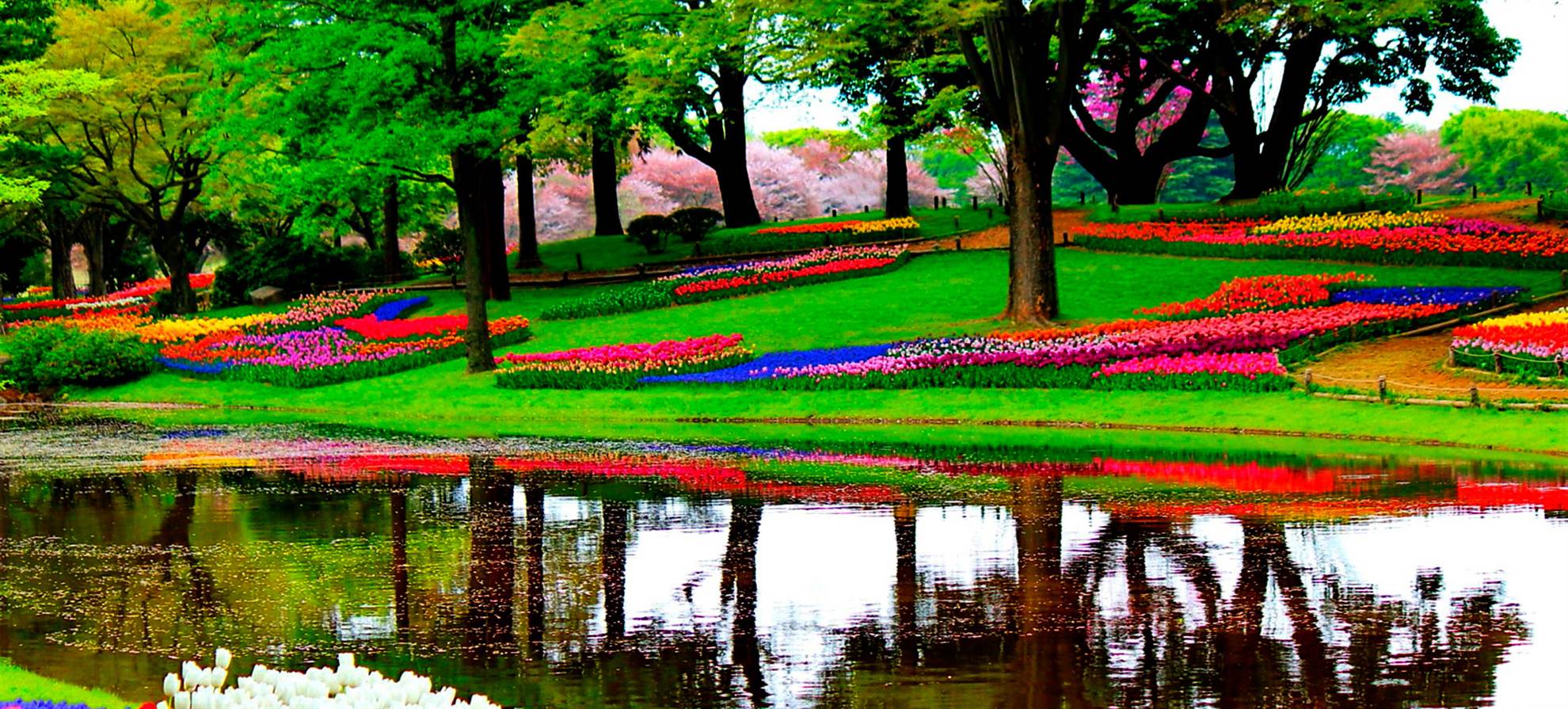 /amsterdam/classificaties/keukenhof/tour-keukenhof/keukenhof_2_1680x770-1509086991-1511114944.jpg Tour Keukenhof
