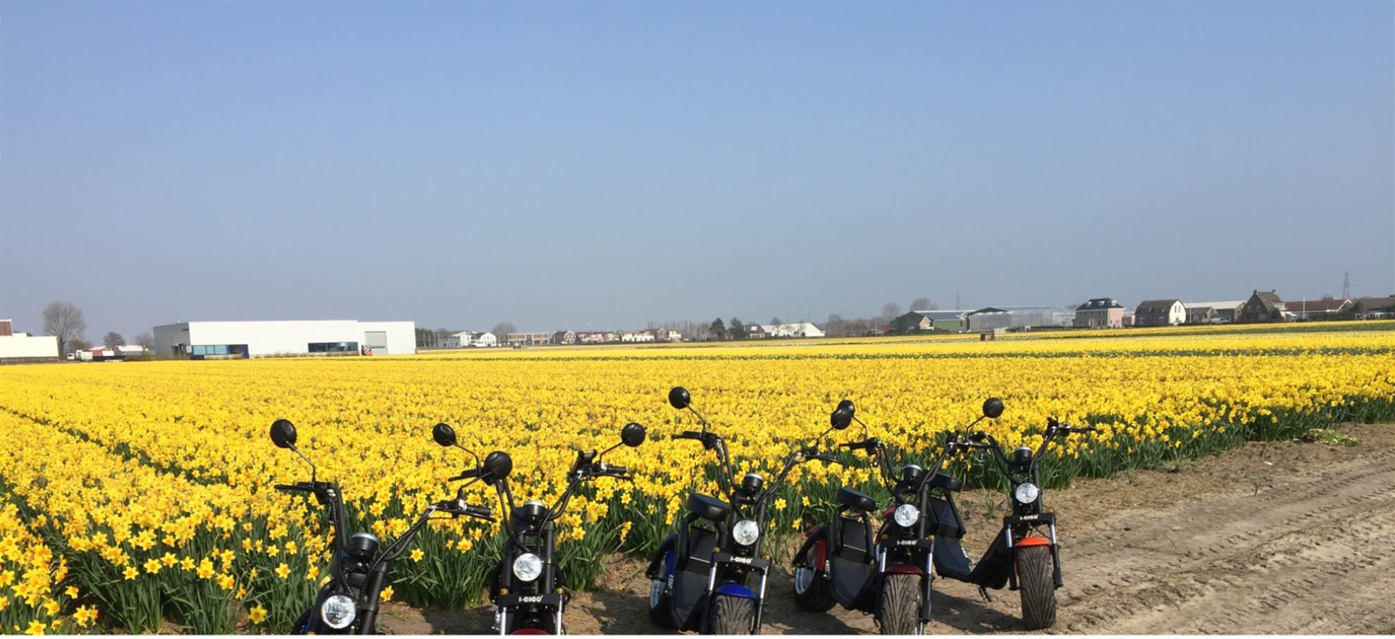 /amsterdam/classificaties/keukenhof/tulip-tour-with-an-electric-scooter-/electric-scooter-header-1583486436.jpg Tulip Tour with an electric scooter