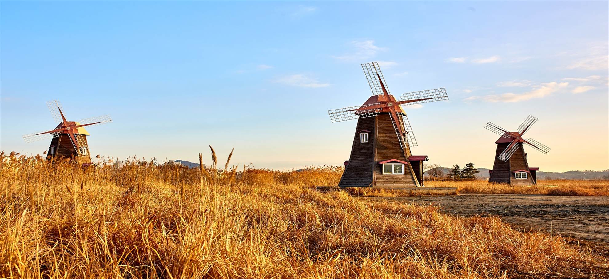 /amsterdam/classificaties/private-tours/zaanse-schans-edam-tour/windmill--adjusted-1579704956.jpg Zaanse Schans + Edam tour
