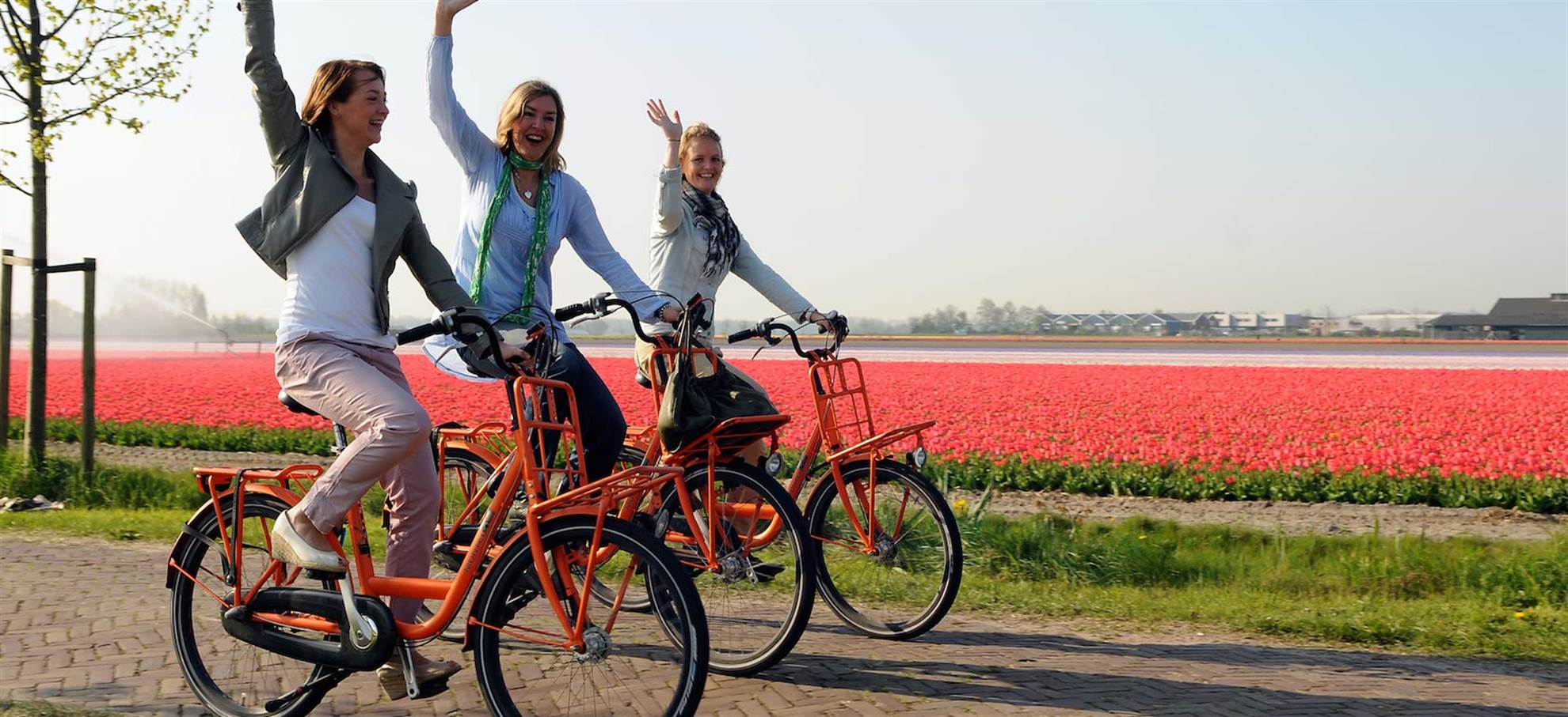 /amsterdam/classificaties/wycieczki/keukenhof-bike-rental/lisse-bike-rental-1514530984-1515745555.jpg Lisse (Keukenhof) – Wycieczka rowerowa po polsku