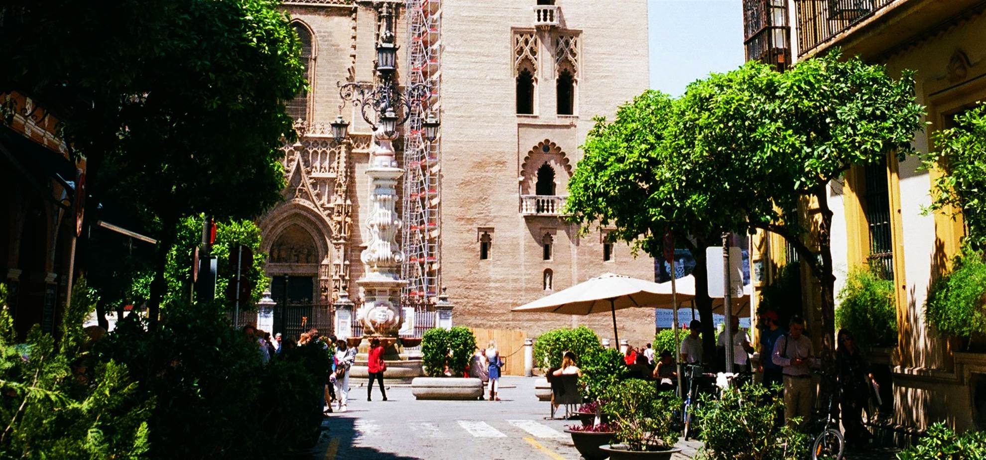 /andalusia/classificaties/sevilla/sevilla-wandeltour-nederlandstalige-gids/sevilla-walking-header-1563446697.jpg Sevilla Wandeltour (Nederlandstalige gids)