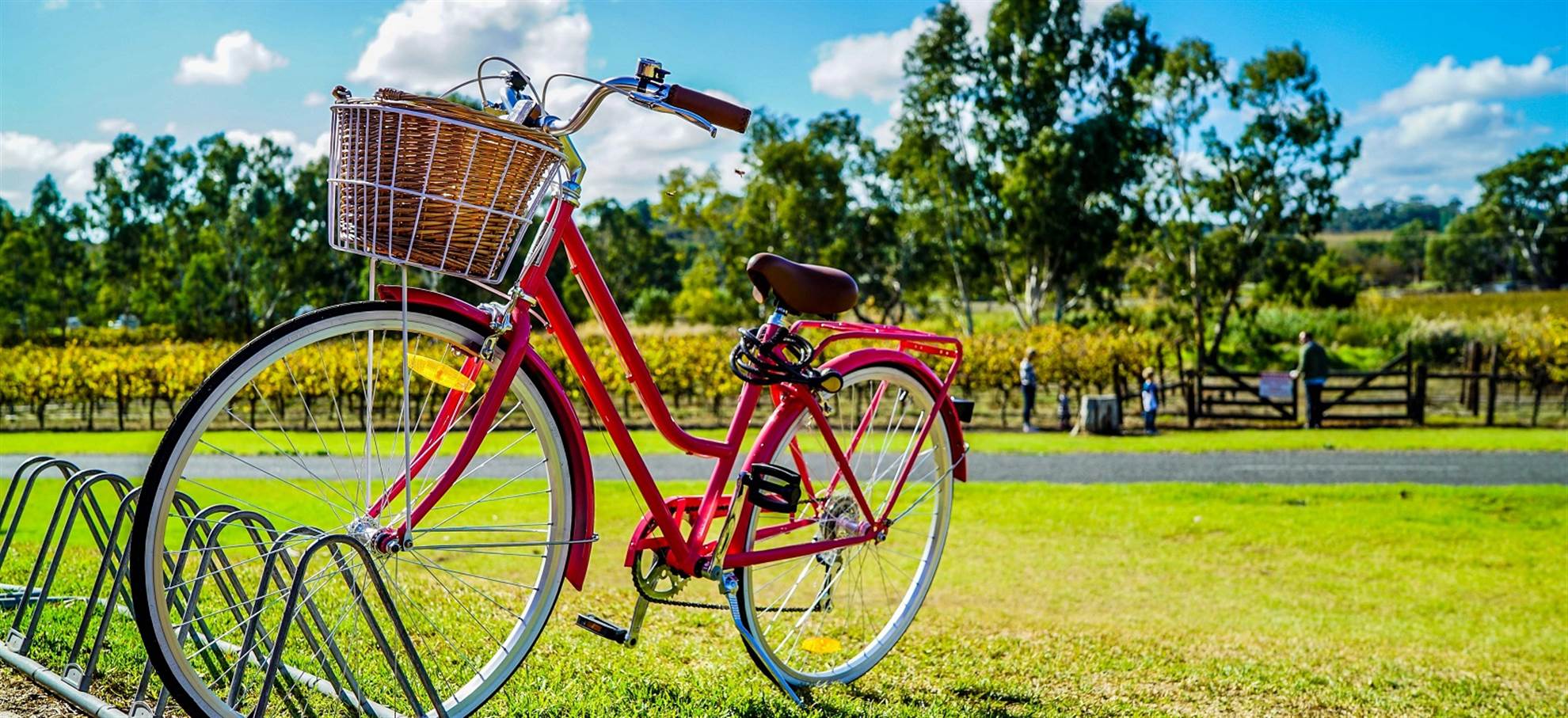 /barcelona/classificaties/fietstours-verhuur/highlighttour/boom-daglicht-fiets-805303-1575276980.jpg Highlight Tour (Nederlandse gids) Barcelona