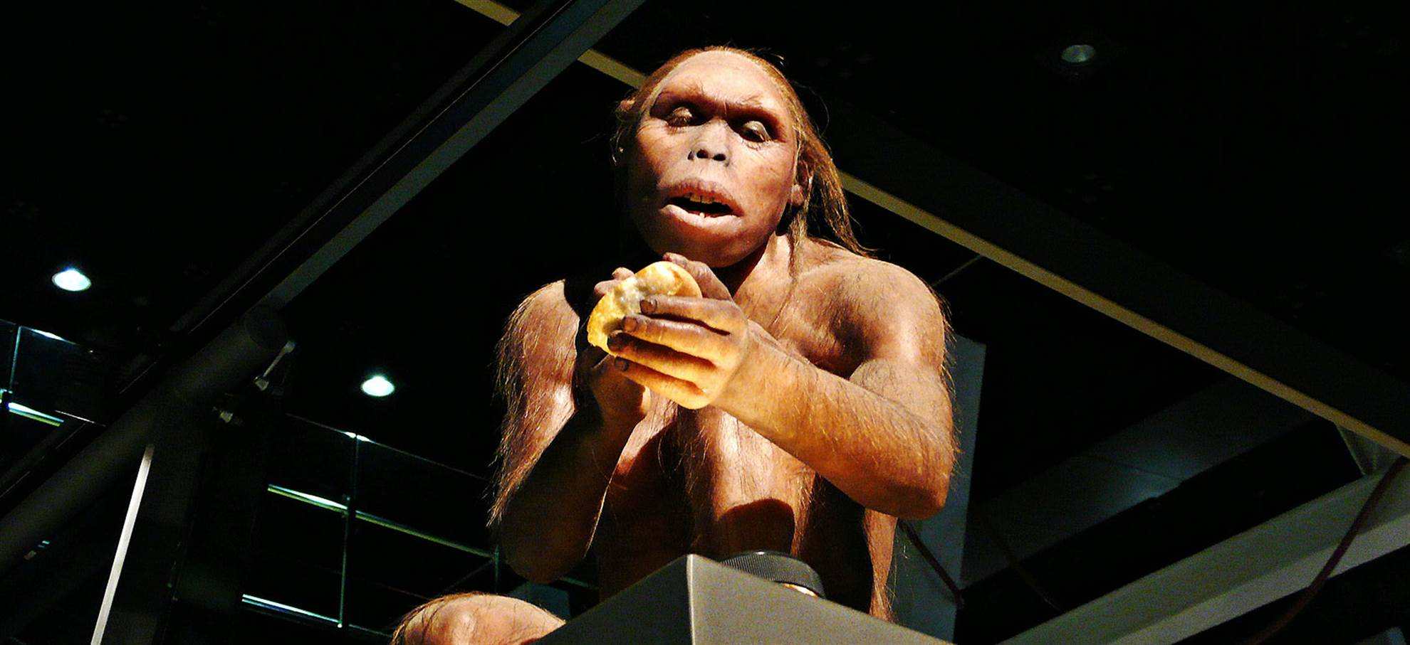 /barcelona/classificaties/museums/cosmo-caixa/cosmo-caixa-1509022754-1510845610.jpg 科斯莫卡伊萨天文博物馆