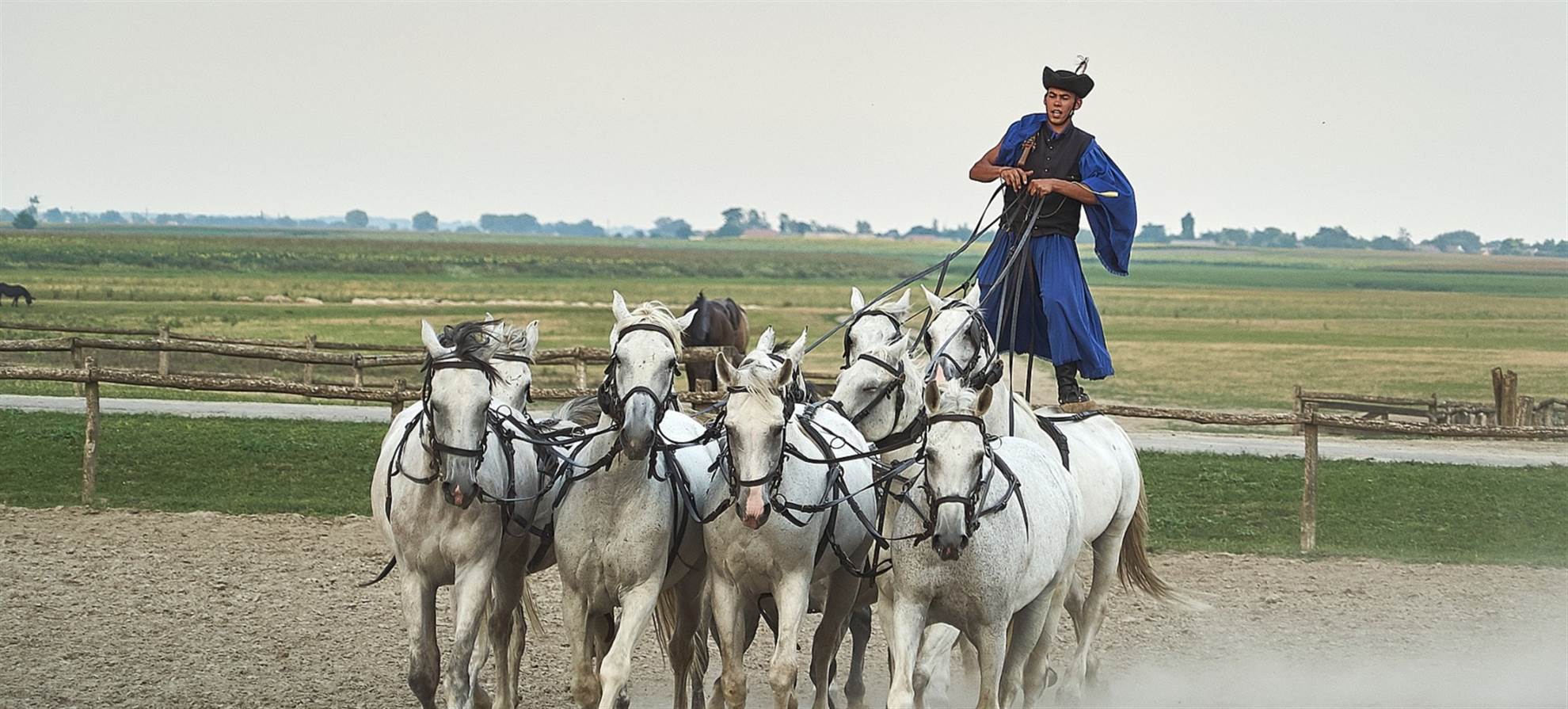 /budapest/classificaties/excursions/puszta-tour-/puszta-tour-header-1587370276.jpg Puszta Tour