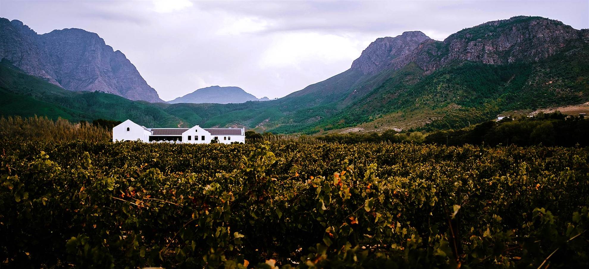 /capetown/classificaties/tours-de-vino/tour-de-vinos-stellenboschfranschhoek-de-1-dia/day-tour-1516358197-1516370692.jpg Tour de vinos Stellenbosch-Franschhoek de 1 dia