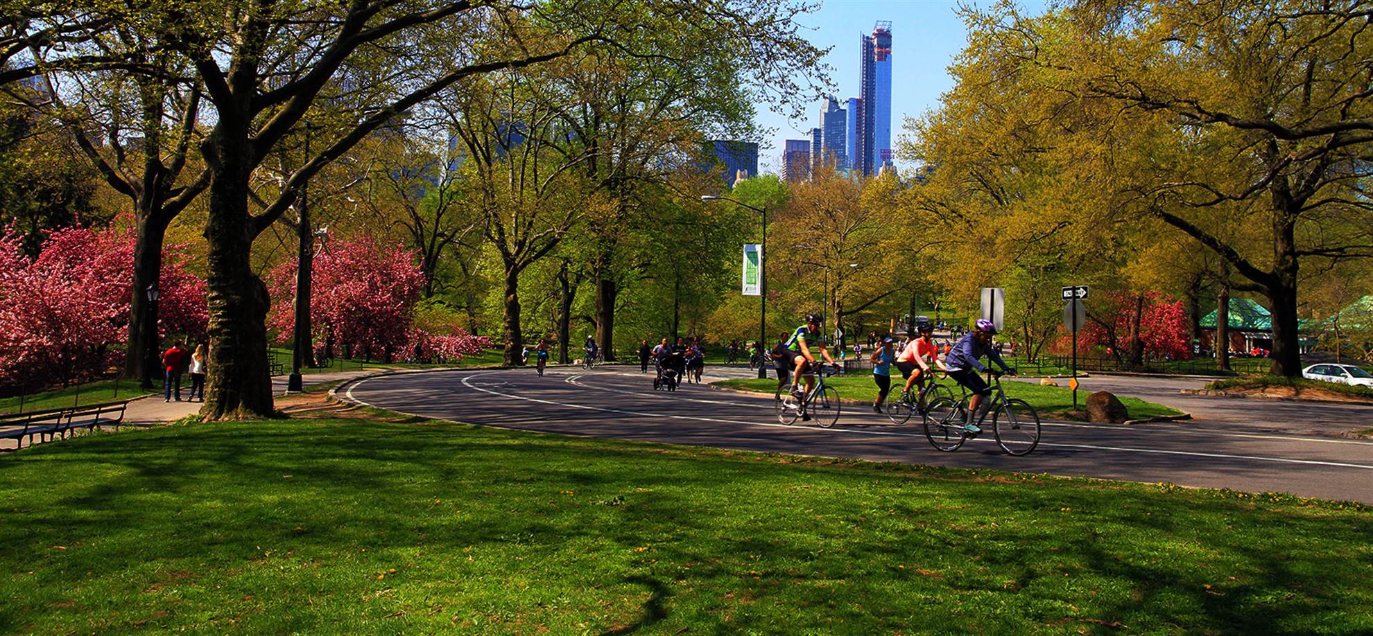 /newyork/classificaties/bike--walking-tours/comfort-bike-rental/ny-bike-header-1563528020.jpg Comfort Bike Rental