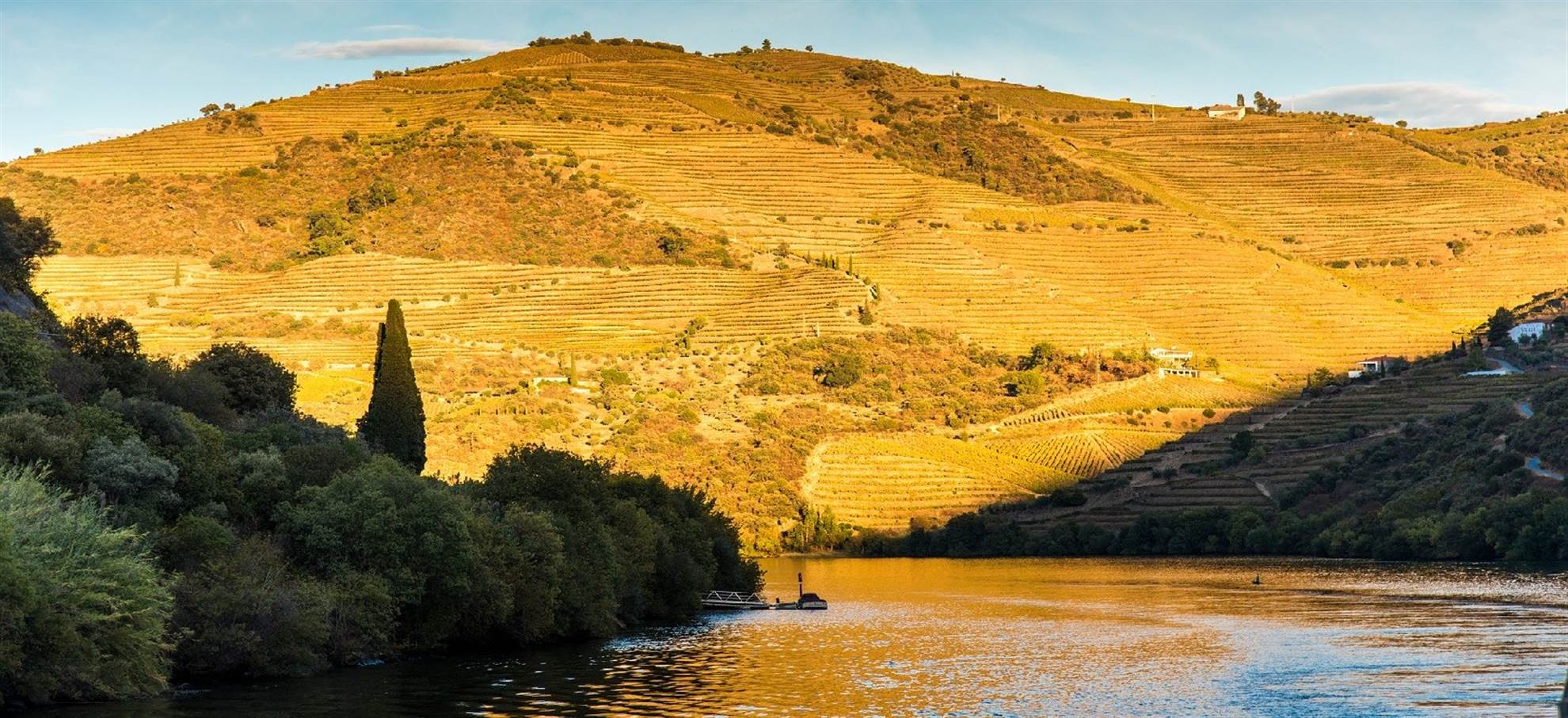 /oporto/classificaties/excursions/wine-tour-douro-valley/portugal_douro_header-1586414563.jpg Wine Tour
