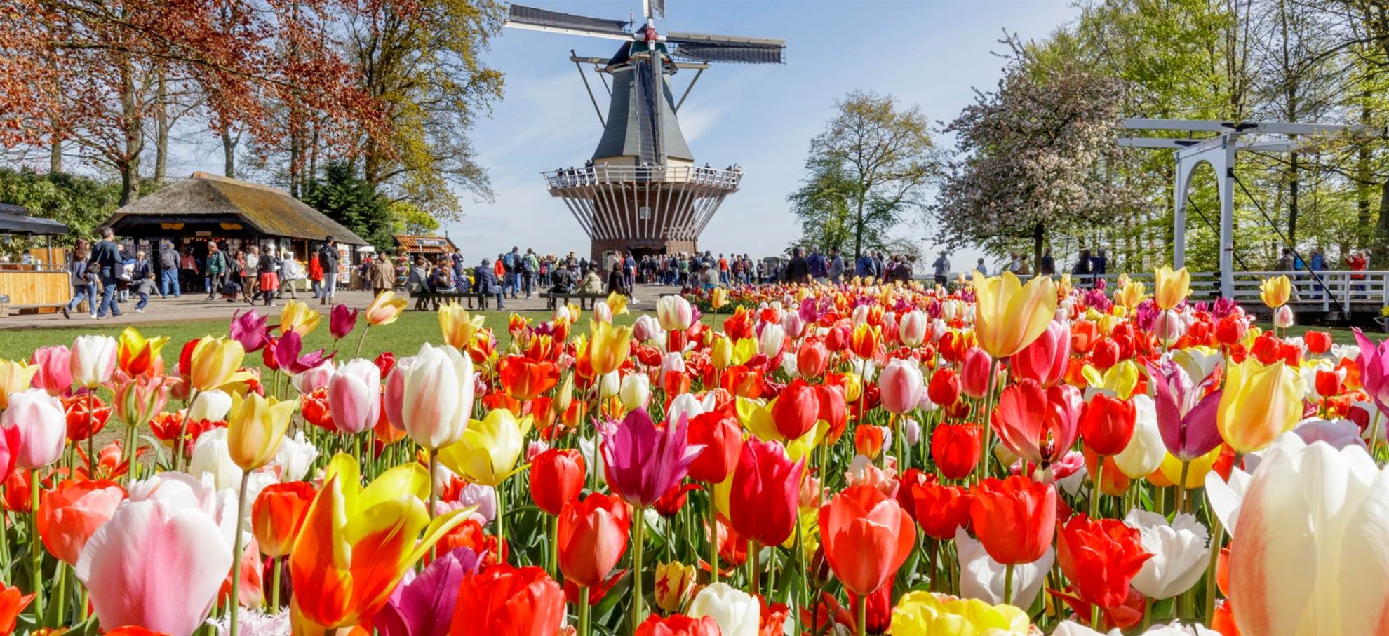 /rotterdam/classificaties/hague/tour-to-keukenhof-and-flowerfields-from-the-hague/the-hague-keukenhof-1573831744.jpg Tour to Keukenhof & Flowerfields from the Hague