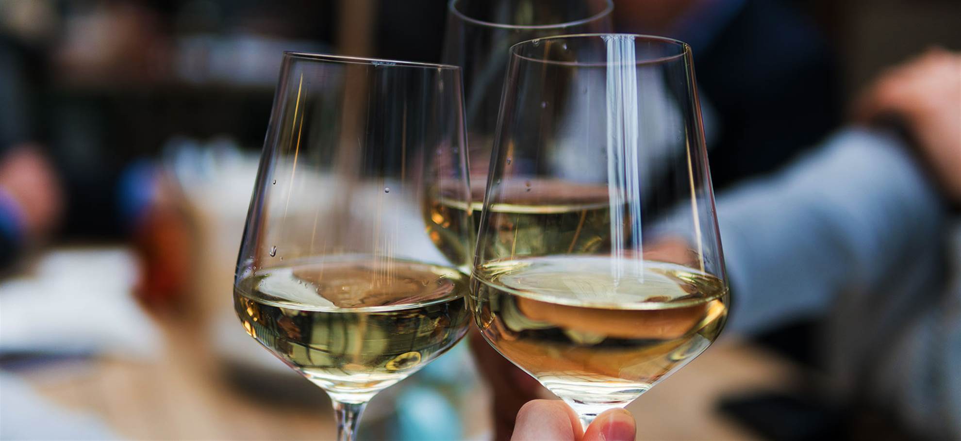 /venice/classificaties/winegastronomy-tours/wine-tour-road-of-the-doges/wine-header-1544178155.jpg Wine Tour Road of the Doges