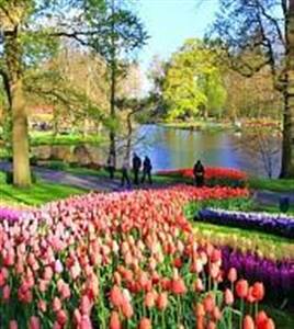 Keukenhof 2019 - Omiń kolejkę!