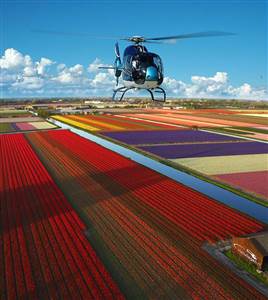 Keukenhof Helikopter Tour (Actief en Boekbaar)