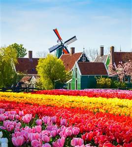 Keukenhof Tour from Rotterdam (Out of Season)