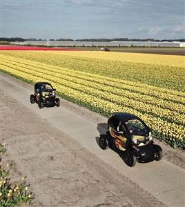 Flowerfield-ervaring met elektrisch voertuig GPS en Audioguide (Actief en Boekbaar)
