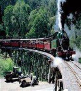  Morning Puffing Billy Steam Train Tour 