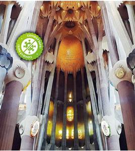 La Sagrada Família - Entrée rapide
