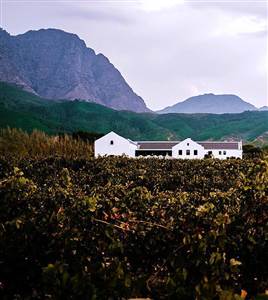 Tour de vinos Stellenbosch-Franschhoek de 1 dia
