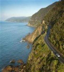 Great Ocean Road Adventure Tour with Lunch