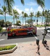Hawaii Hop on Hop off Bus