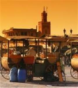 Journée de visite à Marrakech 