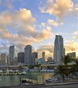 Miami Stads tour