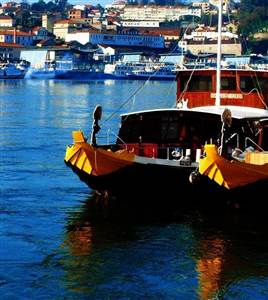 Yellow City Cruises