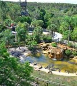 Gatorland en Kabelbaan Fun!