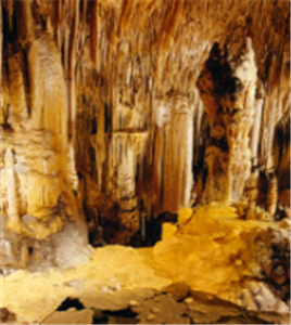 Demi-journée dans les Grottes de Drach