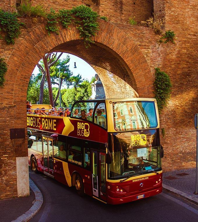 Bus transfer between Civitavecchia cruise port and Rome + Hop on Hop off bus 
